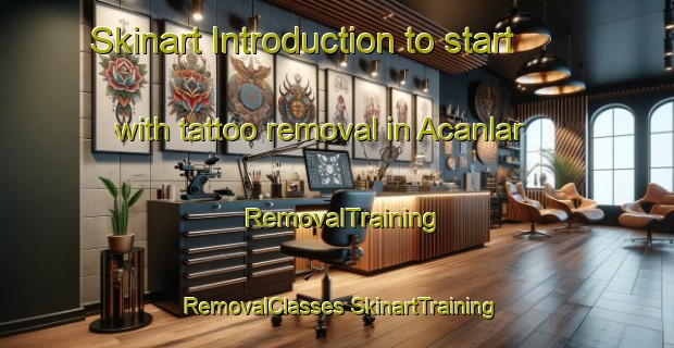 Skinart Introduction to start with tattoo removal in Acanlar | #RemovalTraining #RemovalClasses #SkinartTraining-Turkey