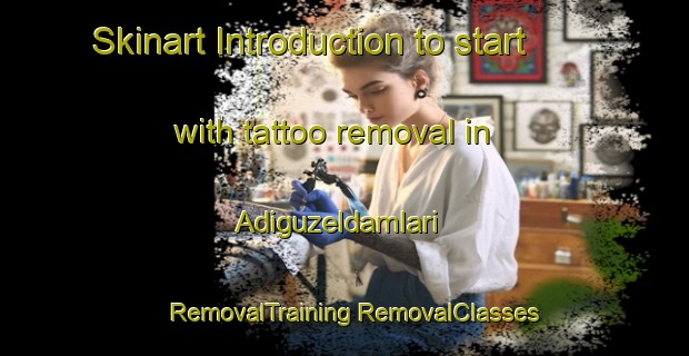 Skinart Introduction to start with tattoo removal in Adiguzeldamlari | #RemovalTraining #RemovalClasses #SkinartTraining-Turkey