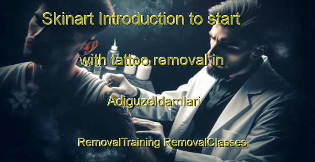 Skinart Introduction to start with tattoo removal in Adiguzeldamlari | #RemovalTraining #RemovalClasses #SkinartTraining-Turkey