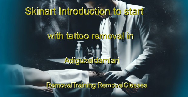 Skinart Introduction to start with tattoo removal in Adiguzeldamlari | #RemovalTraining #RemovalClasses #SkinartTraining-Turkey