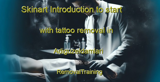 Skinart Introduction to start with tattoo removal in Adiguzeldamlari | RemovalTraining | RemovalClasses | SkinartTraining-Turkey