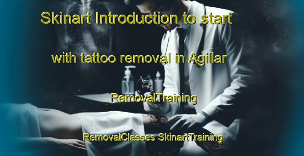 Skinart Introduction to start with tattoo removal in Agillar | #RemovalTraining #RemovalClasses #SkinartTraining-Turkey