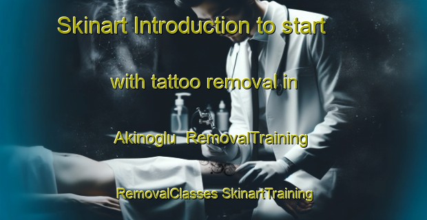 Skinart Introduction to start with tattoo removal in Akinoglu | #RemovalTraining #RemovalClasses #SkinartTraining-Turkey