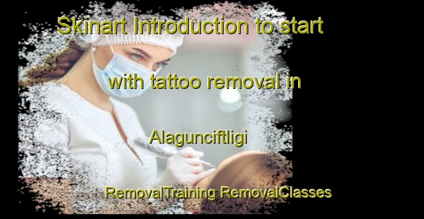 Skinart Introduction to start with tattoo removal in Alagunciftligi | #RemovalTraining #RemovalClasses #SkinartTraining-Turkey