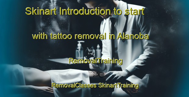 Skinart Introduction to start with tattoo removal in Alanoba | #RemovalTraining #RemovalClasses #SkinartTraining-Turkey