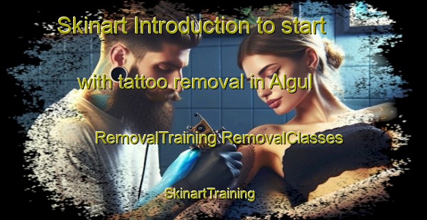 Skinart Introduction to start with tattoo removal in Algul | #RemovalTraining #RemovalClasses #SkinartTraining-Turkey