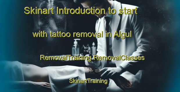 Skinart Introduction to start with tattoo removal in Algul | #RemovalTraining #RemovalClasses #SkinartTraining-Turkey