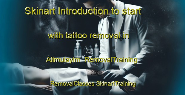 Skinart Introduction to start with tattoo removal in Alimulayim | #RemovalTraining #RemovalClasses #SkinartTraining-Turkey