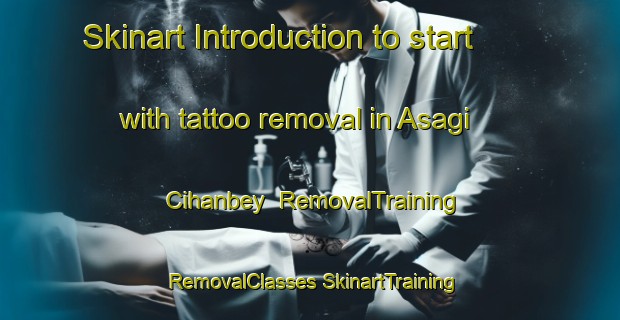 Skinart Introduction to start with tattoo removal in Asagi Cihanbey | #RemovalTraining #RemovalClasses #SkinartTraining-Turkey