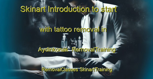 Skinart Introduction to start with tattoo removal in Aydinkonak | #RemovalTraining #RemovalClasses #SkinartTraining-Turkey