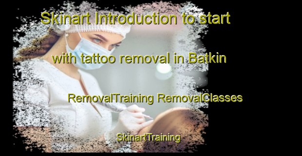 Skinart Introduction to start with tattoo removal in Batkin | #RemovalTraining #RemovalClasses #SkinartTraining-Turkey