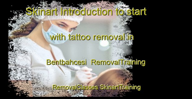 Skinart Introduction to start with tattoo removal in Bentbahcesi | #RemovalTraining #RemovalClasses #SkinartTraining-Turkey