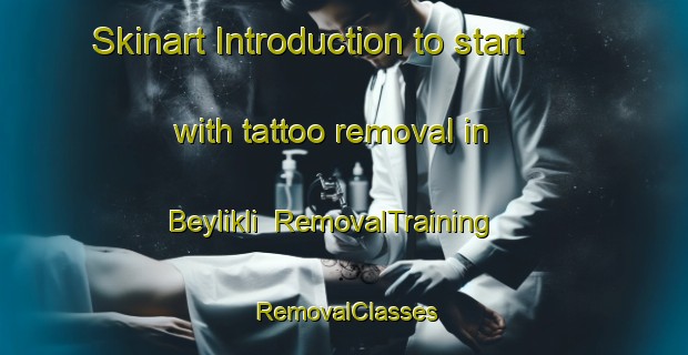 Skinart Introduction to start with tattoo removal in Beylikli | RemovalTraining | RemovalClasses | SkinartTraining-Turkey