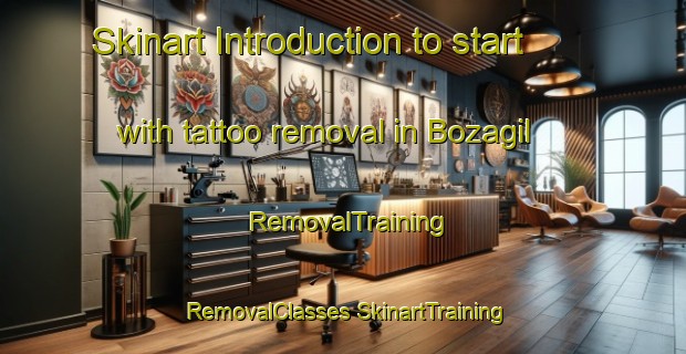 Skinart Introduction to start with tattoo removal in Bozagil | #RemovalTraining #RemovalClasses #SkinartTraining-Turkey