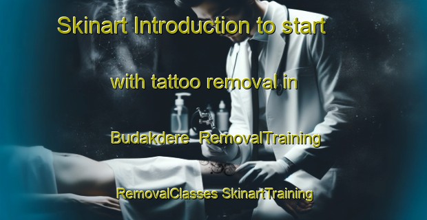 Skinart Introduction to start with tattoo removal in Budakdere | #RemovalTraining #RemovalClasses #SkinartTraining-Turkey