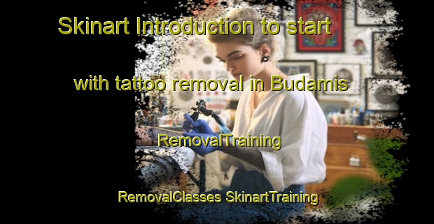 Skinart Introduction to start with tattoo removal in Budamis | #RemovalTraining #RemovalClasses #SkinartTraining-Turkey