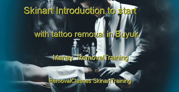 Skinart Introduction to start with tattoo removal in Buyuk Manay | #RemovalTraining #RemovalClasses #SkinartTraining-Turkey