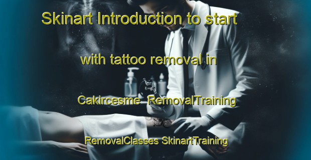 Skinart Introduction to start with tattoo removal in Cakircesme | #RemovalTraining #RemovalClasses #SkinartTraining-Turkey