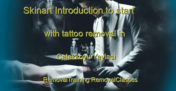 Skinart Introduction to start with tattoo removal in Calakkoyu Yaylasi | #RemovalTraining #RemovalClasses #SkinartTraining-Turkey