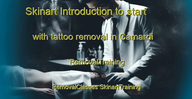 Skinart Introduction to start with tattoo removal in Camardi | #RemovalTraining #RemovalClasses #SkinartTraining-Turkey