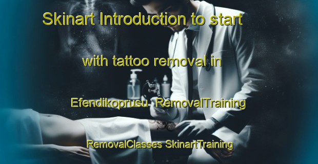 Skinart Introduction to start with tattoo removal in Efendikoprusu | #RemovalTraining #RemovalClasses #SkinartTraining-Turkey