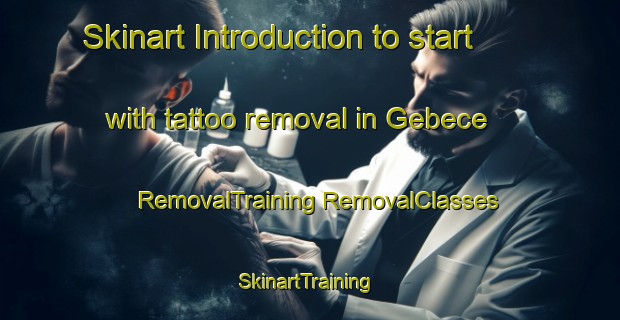 Skinart Introduction to start with tattoo removal in Gebece | #RemovalTraining #RemovalClasses #SkinartTraining-Turkey