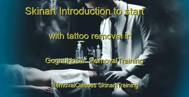 Skinart Introduction to start with tattoo removal in Gognukkisla | #RemovalTraining #RemovalClasses #SkinartTraining-Turkey