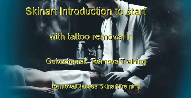 Skinart Introduction to start with tattoo removal in Gokcetoprak | #RemovalTraining #RemovalClasses #SkinartTraining-Turkey