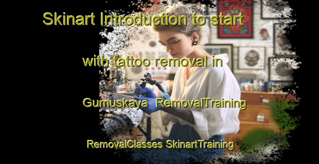 Skinart Introduction to start with tattoo removal in Gumuskaya | #RemovalTraining #RemovalClasses #SkinartTraining-Turkey