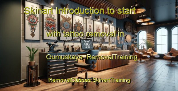 Skinart Introduction to start with tattoo removal in Gumuskaya | #RemovalTraining #RemovalClasses #SkinartTraining-Turkey