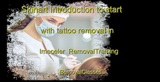 Skinart Introduction to start with tattoo removal in Imeceler | RemovalTraining | RemovalClasses | SkinartTraining-Turkey