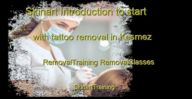 Skinart Introduction to start with tattoo removal in Kesmez | #RemovalTraining #RemovalClasses #SkinartTraining-Turkey