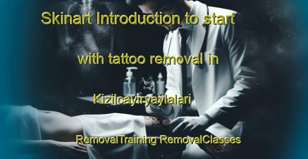 Skinart Introduction to start with tattoo removal in Kizilcayiryaylalari | #RemovalTraining #RemovalClasses #SkinartTraining-Turkey