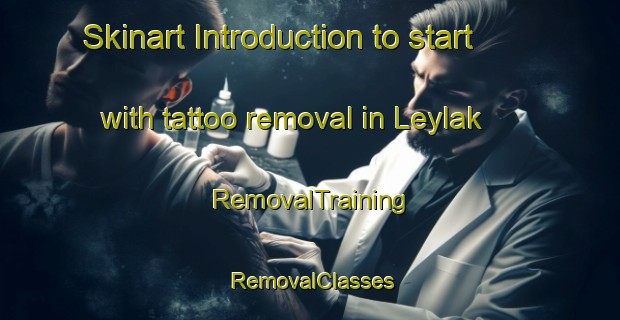 Skinart Introduction to start with tattoo removal in Leylak | RemovalTraining | RemovalClasses | SkinartTraining-Turkey