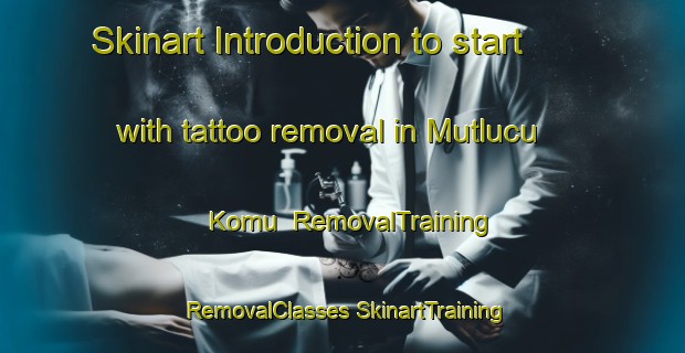 Skinart Introduction to start with tattoo removal in Mutlucu Komu | #RemovalTraining #RemovalClasses #SkinartTraining-Turkey