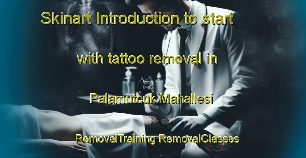 Skinart Introduction to start with tattoo removal in Palamutcuk Mahallesi | #RemovalTraining #RemovalClasses #SkinartTraining-Turkey