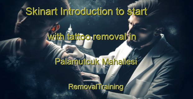 Skinart Introduction to start with tattoo removal in Palamutcuk Mahallesi | RemovalTraining | RemovalClasses | SkinartTraining-Turkey