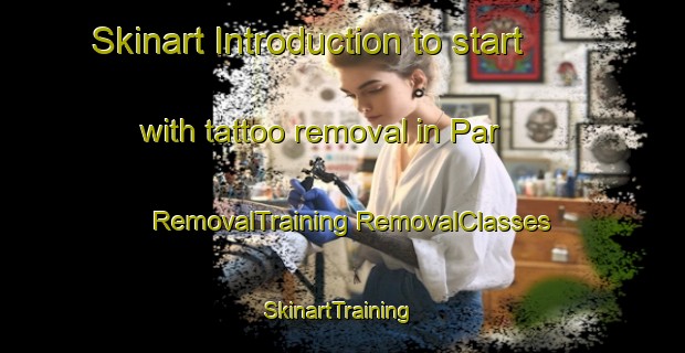 Skinart Introduction to start with tattoo removal in Par | #RemovalTraining #RemovalClasses #SkinartTraining-Turkey