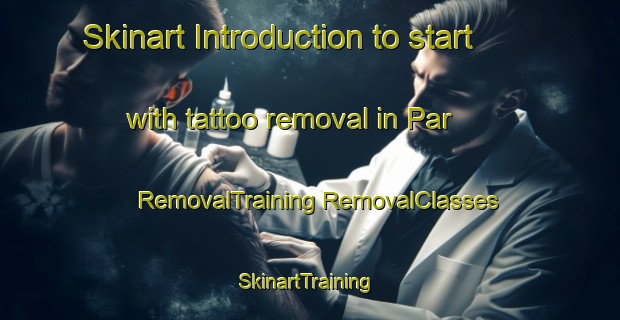 Skinart Introduction to start with tattoo removal in Par | #RemovalTraining #RemovalClasses #SkinartTraining-Turkey