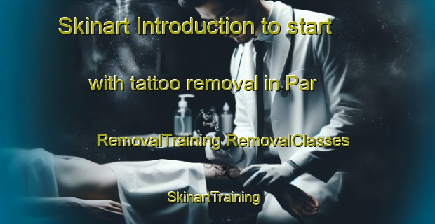 Skinart Introduction to start with tattoo removal in Par | #RemovalTraining #RemovalClasses #SkinartTraining-Turkey