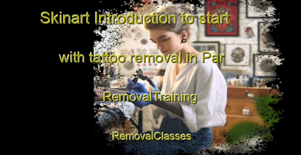 Skinart Introduction to start with tattoo removal in Par | RemovalTraining | RemovalClasses | SkinartTraining-Turkey