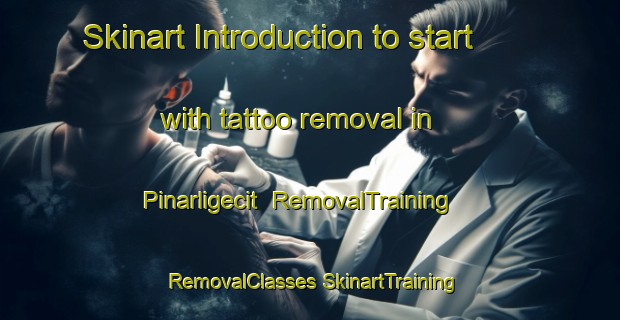 Skinart Introduction to start with tattoo removal in Pinarligecit | #RemovalTraining #RemovalClasses #SkinartTraining-Turkey