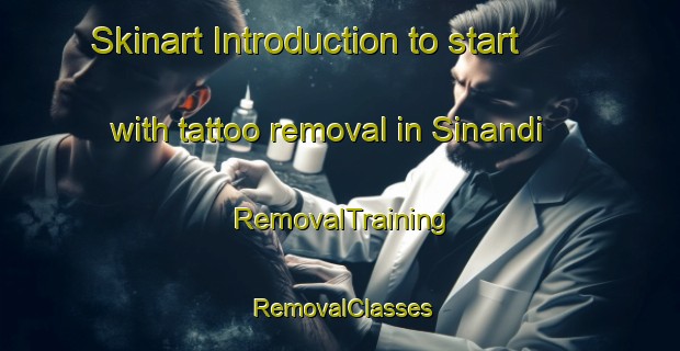 Skinart Introduction to start with tattoo removal in Sinandi | RemovalTraining | RemovalClasses | SkinartTraining-Turkey
