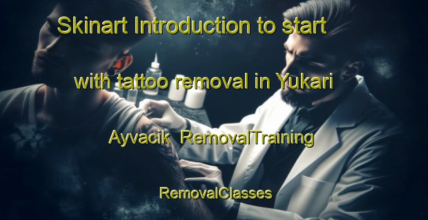Skinart Introduction to start with tattoo removal in Yukari Ayvacik | RemovalTraining | RemovalClasses | SkinartTraining-Turkey