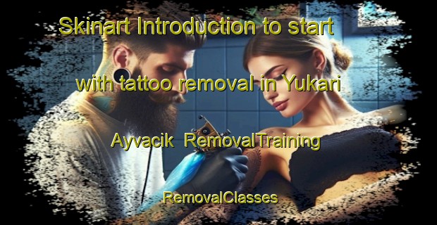 Skinart Introduction to start with tattoo removal in Yukari Ayvacik | RemovalTraining | RemovalClasses | SkinartTraining-Turkey
