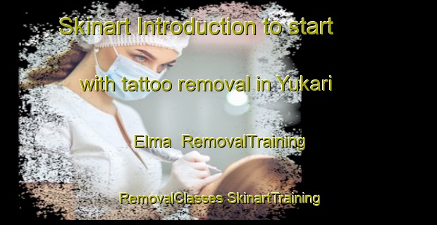 Skinart Introduction to start with tattoo removal in Yukari Elma | #RemovalTraining #RemovalClasses #SkinartTraining-Turkey