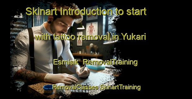 Skinart Introduction to start with tattoo removal in Yukari Esmisik | #RemovalTraining #RemovalClasses #SkinartTraining-Turkey