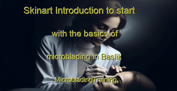 Skinart Introduction to start with the basics of microblading in Baslik | MicrobladingTraining | MicrobladingClasses | SkinartTraining-Turkey