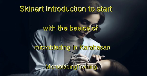 Skinart Introduction to start with the basics of microblading in Karahasan | MicrobladingTraining | MicrobladingClasses | SkinartTraining-Turkey