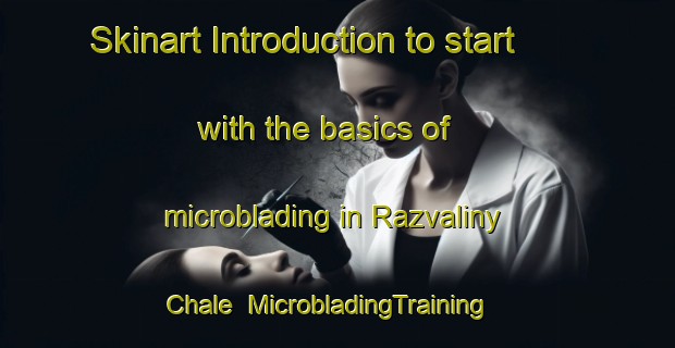 Skinart Introduction to start with the basics of microblading in Razvaliny Chale | MicrobladingTraining | MicrobladingClasses | SkinartTraining-Turkey